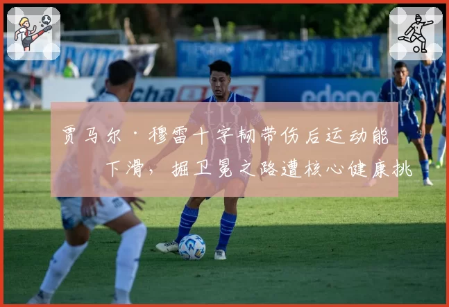 贾马尔·穆雷十字韧带伤后运动能力下滑,掘卫冕之路遭核心健康挑战