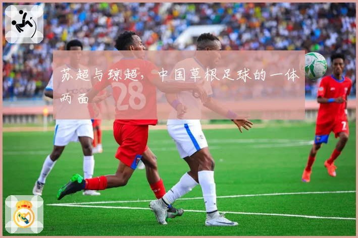 苏超与琼超,中国草根足球的一体两面